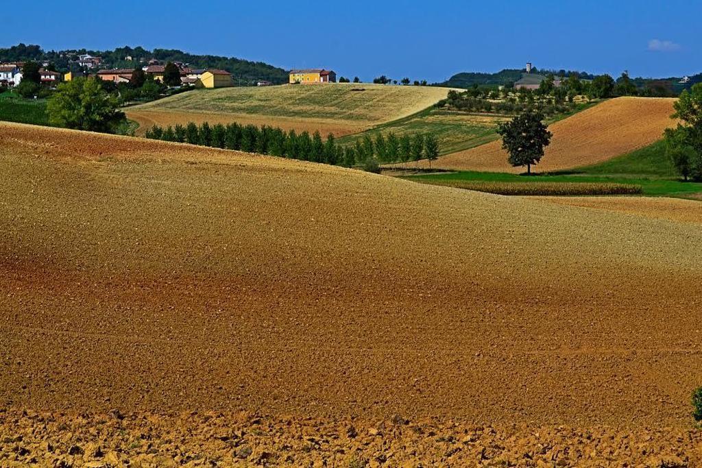 Cascina Manu Bed and Breakfast Rosignano Monferrato Buitenkant foto