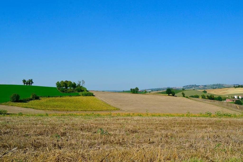 Cascina Manu Bed and Breakfast Rosignano Monferrato Buitenkant foto