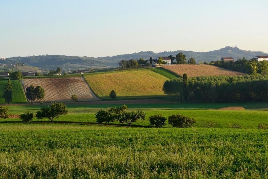 Cascina Manu Bed and Breakfast Rosignano Monferrato Buitenkant foto