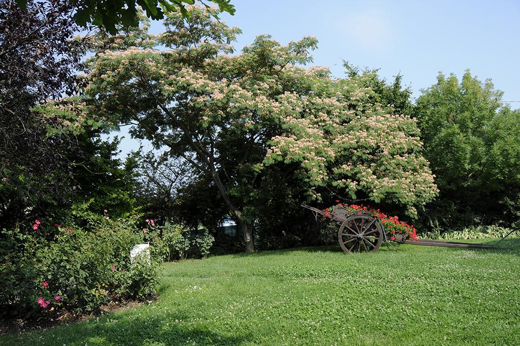 Cascina Manu Bed and Breakfast Rosignano Monferrato Buitenkant foto