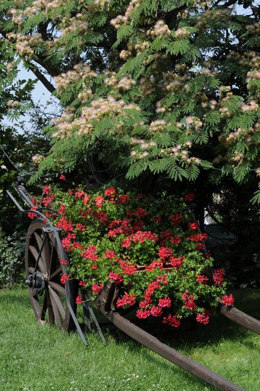 Cascina Manu Bed and Breakfast Rosignano Monferrato Buitenkant foto